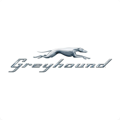 greyhound